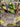 Mega Rayquaza ex 058/076 Double Rare M6: Storm Emeralda Pokemon Japanese Holo