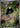 Shroodle 072/063 Art Rare Mega Brave Pokemon Japanese