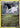 Goodra 60/98 Holo Rare Ancient Origins Pokemon