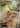 Yamper 086/080 Art Rare Inferno X Pokemon Japanese Holo