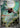 Ninjask 065/063 Art Rare Mega Symphonia Pokemon Japanese