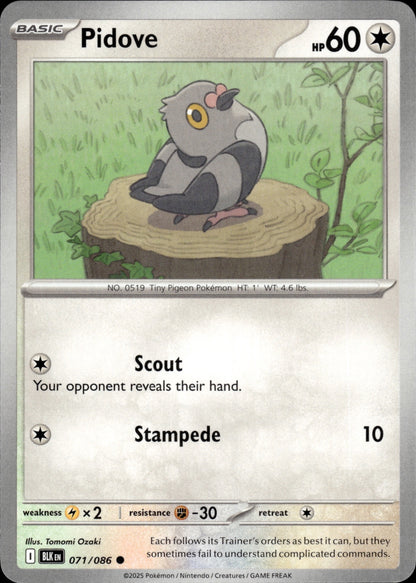 Pidove 071/086 Common SV: Black Bolt Pokemon