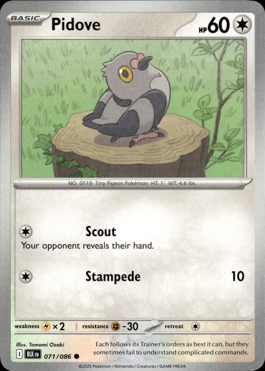 Pidove 071/086 Common SV: Black Bolt Pokemon