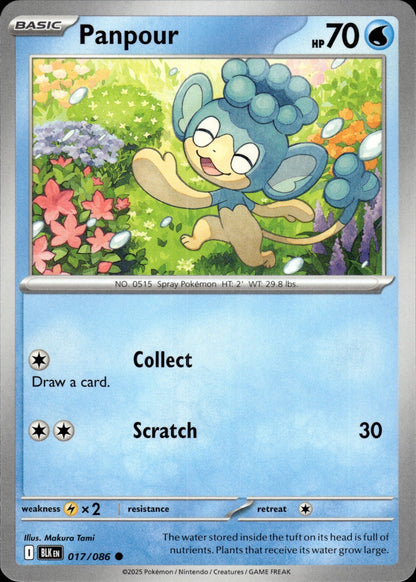 Panpour 017/086 Common SV: Black Bolt Pokemon
