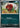 Venipede 054/086 Common SV: Black Bolt Pokemon