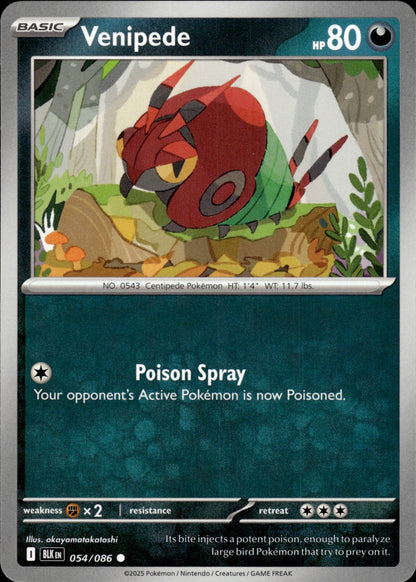 Venipede 054/086 Common SV: Black Bolt Pokemon