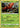 Tapu Bulu 016/163 Holo Rare Battle Styles Pokemon Holo