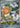 Castform Sunny Form 195/191 Illustration Rare Surging Sparks Pokemon